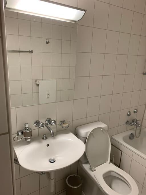 Cozy Flat In The Center Of Kleinbasel Basel